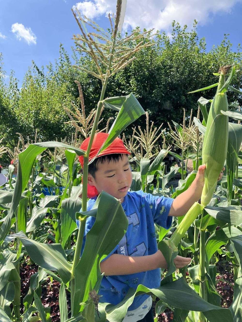 食育プログラム