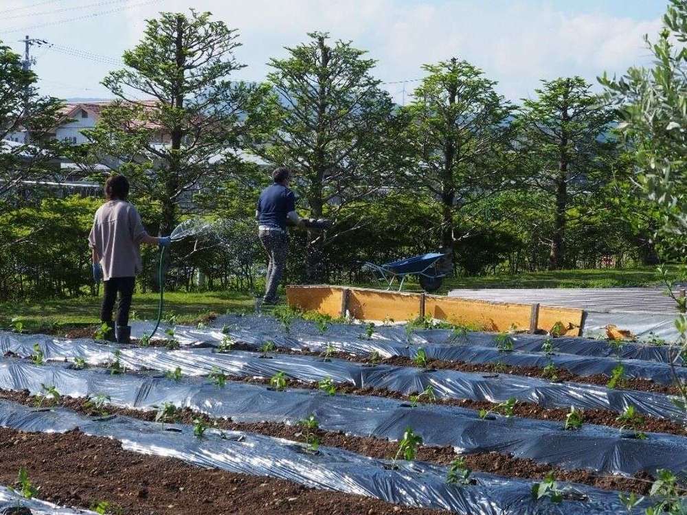 自然・農園・食