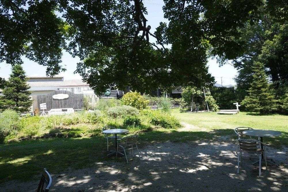 連理の木の下で